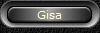 Gisa