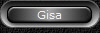 Gisa